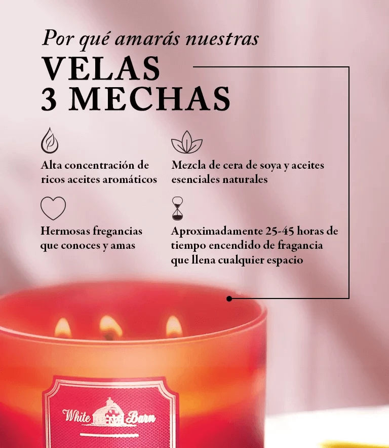 BATH AND BODY WORKS - VELA GRANDE AROMÁTICA  411 g