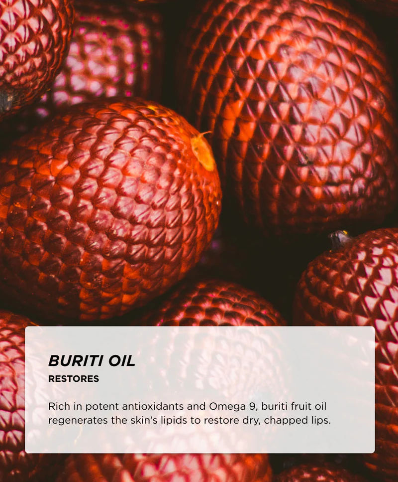 GISOU - HONEY INFUSED LIP OIL