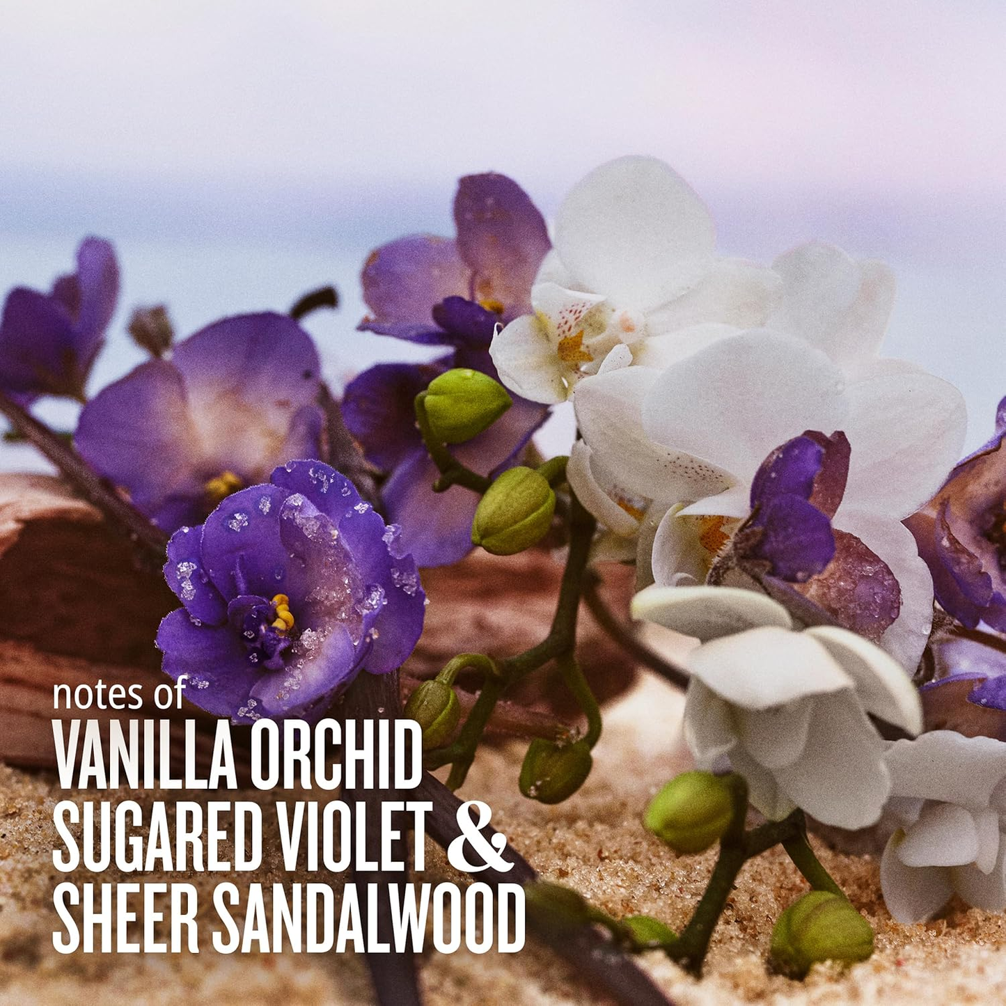 SOL DE JANEIRO - CHEIROSA 59 DELÍCIA DRENCH PERFUME MIST